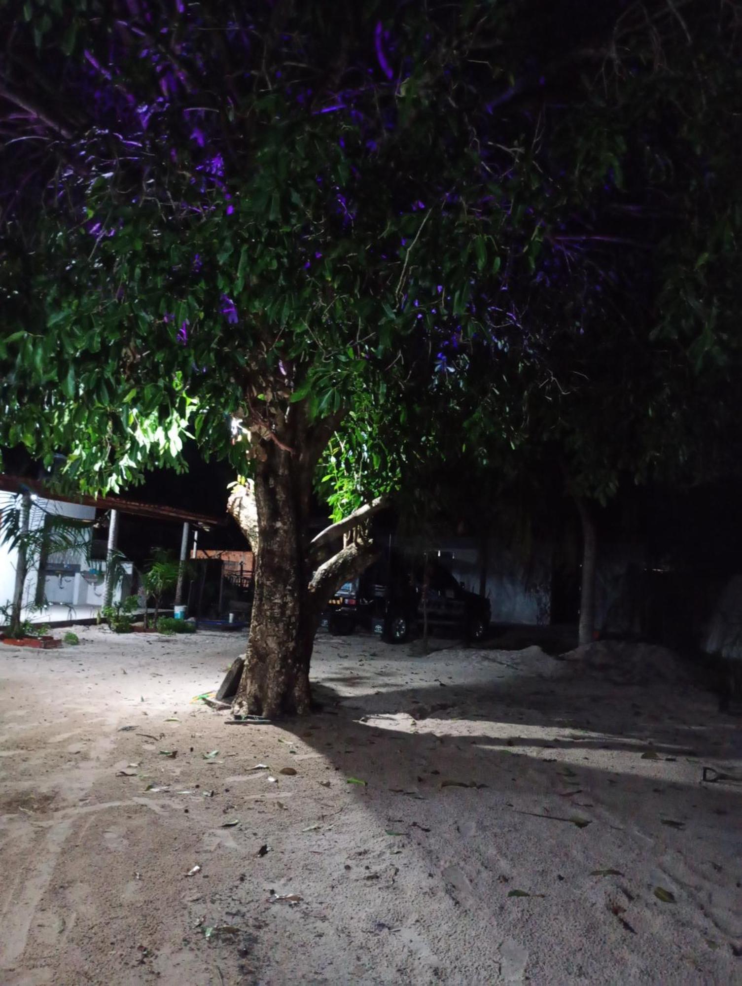 Hostel E Camping Na Rua Das Flores Santo Amaro do Maranhao Esterno foto