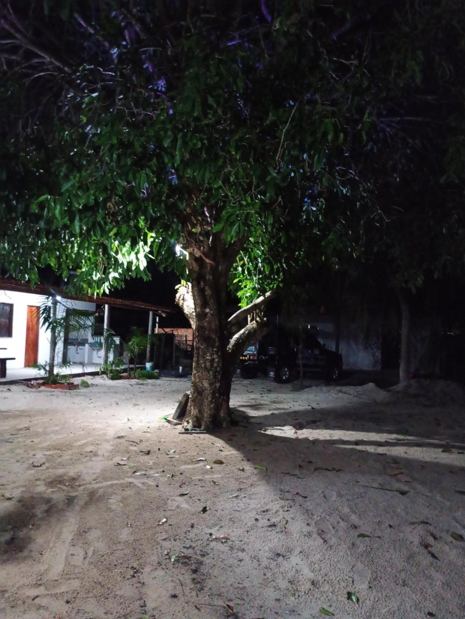 Hostel E Camping Na Rua Das Flores Santo Amaro do Maranhao Esterno foto