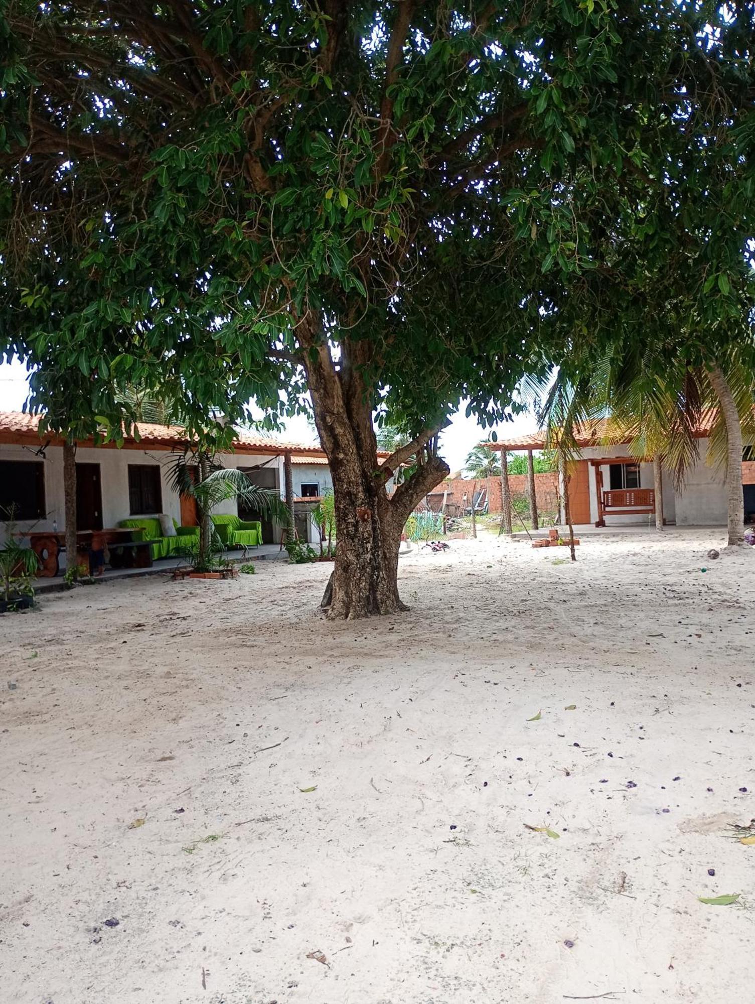 Hostel E Camping Na Rua Das Flores Santo Amaro do Maranhao Esterno foto