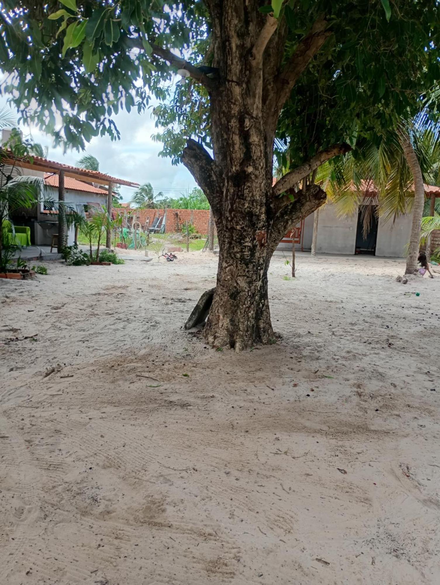 Hostel E Camping Na Rua Das Flores Santo Amaro do Maranhao Esterno foto